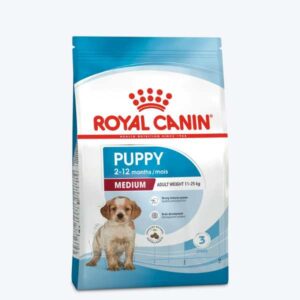 Medium Puppy